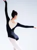Stage Wear Justaucorps de ballet noir et gris de haute qualité pour femmes, vêtements d'entraînement, couleur dégradée, ballerine pour adultes