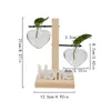 Wazony Kreatywny drewniany szelf wazon hydroponiczny przezroczysty puls