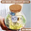 Vase Desktop Micro-Landscape Bottle小さなガラス装飾的な陸地コンテナ植物テラリウムDIYドロップデリバリーホームガーデンDHQH6