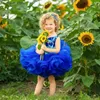 Robes de fille bleu Royal fleur genou longueur princesse enfants bébé filles première robe d'anniversaire pour la fête de mariage