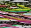 10pcs colorful feather hair extension 714inch 100 Real Grizzly Thin Rooster Feather hair extensions For Party feather hair suppl2285521