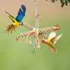 Inne ptaki zaopatruje zabawki wiszące zabawki stojące do żucia zabawki dla Paszyk gołębia