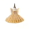 Stage Wear Girls Ballet Tutu Skirt Fluffy Princess Dress Up Clothes Short Ruffle Sleeve Show Outfit Bowknot Front Carnival