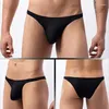 Sous-vêtements taille basse pour hommes, sous-vêtements sexy en maille respirante, bikini