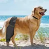 Dog Apparel Pet Recovery Sleeve For Thigh And Knee Joints Injuries Prevent Leg Brace Soft Padded