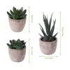 Decorative Flowers OUNONA 3pcs Faux Succulent Artificial Fake Simulation Plants With Pots