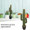 Decoratieve bloemen eettafel nep bloem cactus planta grote potplanten plastic landschapsdecor