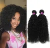 4PC Malezyjskie kręcone ludzkie przedłużenia włosów 100 gpcs Naturalny czarny malezyjski kręcony splot virigin włosy Malezja Kinky Curly Hair Ext2945783