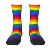 Chaussettes masculines LGBT Rainbow Unisexe hiver chaude chausse