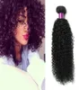 8a Moğol Kinky Kıvırcık Saç Dokuma 4bundles Kıvırcık İnsan Saç Uzantıları Moğol Saç Afro Kinky Kıvırcık Uzatma Doğal Black4928957