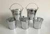 D75xH75CM Metal Cup Planter Tin Box Iron Pots Silvery Wedding Succulent Pot Mini Bucket SF020S7752646