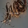 Soft Willow Twig Garland 12ft Bendable Branch 160 PCS LED WARM VIT COLOR Electric Plug i Type With 24V Adapter 3M Lead Wire1241V