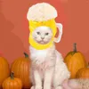 Costumes de chat Coils bouclés chapeau de compagnie et chien drôle robe up mignon bandeau en tricot pour la femme au foyer en peluche