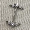 Anello per piercing al capezzolo con filettatura interna ASTM 36 per impianto 14G con gioielli per il corpo a grappolo CZ 240127