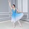 Stage Wear Longue Adulte Enfants Ballet Tutu Robe Parti Pratique Vêtements Costumes De Danse Moderne Enfants Ballerine En Mousseline De Soie Fille