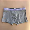 Haute qualité Designers marque Hommes Boxer hommes Slip Slip Pour Homme Sous-Vêtements Sexy Sous-Vêtements Hommes Boxers Coton Shorts Mâle