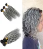 Ombre Color Silver Grey Deep Wave Hair Weaves 3pcs Unprocessed 100 Human Hair Deep Curly 1B Grey Hair 3Bundles Extension8373282