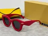 Lunettes de soleil design 6232 pour hommes femmes luxe hommes lunettes de soleil mode lunettes de soleil rétro lunettes de soleil dames lunettes de soleil rondes lunettes de soleil design