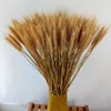 200 Pcs Dried Natural Triticum Wheat Bundle Flower Arrangement Home Table Wedding Party Centerpieces Decorative 24''tall265J