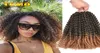 TOMO Uncinetto Trecce Mali Bob Ombre Intrecciare i capelli Sintetici Afro crespi Estensione dei capelli ricci Misto Nero Viola Marrone Ricci Crochet7420413