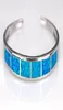 Whole Retail Fashion Fine Blue Fire Opal Bangles 925 Silver Plated Jewelry For Women BNT1807310199165663347749