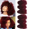 Malibob afro kinky curl virka flätor 8 tum jerry curl ombre kinky curl syntetic flätning hår 3 bitar lot5189897