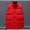 Canadese Inverno Vestido Gilet Uomo Giù Gilet Bodywarmer Moda Giacche Gilet da donna Designer Cappotto Maschile Doudoune Luxe Goose Veste Homme Manteau