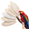 Other Bird Supplies 6 Pcs Cuttlefish Bone Chewing Toys Parrots Cockatoo Chew Blocks Biting