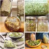 Storage Bottles 500ml Broccoli Germinator Gifts Mesh Lids Adjustable Stand Mason Jars Healthy Filter Sprouter Bean Glass White Tray Durable