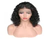 Rabatt produkt toppklass obearbetad Remy Virgin Human Hair Medium Natural Color Kinky Curly Full Front Lace Cap Wig för Lady7498952