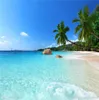 Anpassad 3D PO Wallpaper Seascape Beach Palm Wall som täcker väggmålningsrulle för vardagsrum sovrum bakgrund tapet de parede67282444839903