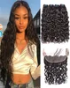 Modern Show human hair bundles with134 lace frontal virgin peruvian 1030inch water wet and wavy hair extensions9807683