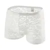 Underbyxor män spetsar thongs sexpåse boxer shorts transparent homofile underkläder erotiska solid hög elastisk andningsbar slip homme calzoncillos