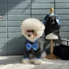 Hundkläder handgjorda kläder husdjur leverans jacka dräkt cool stilig klassisk grå ull kostym brittisk stil gentleman bröllop födelsedag