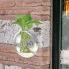 Vases Flower Pots For Indoor Plants Hydroponic Vase Small Glass Hanging Terrarium Wall Planters Outdoor