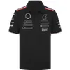 2024 Nowy kombinezon wyścigowy F1 Formuła 1 Drużyna Summer Short-Sleeved Polo Shirt Ubrania męskie Dostosowanie męskie