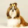 Vêtements de chien 10pcs mignon animal de compagnie épingle à cheveux chiot brodé fleur arc pinces à cheveux pour chiens chat boutique accessoires de toilettage