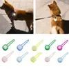 Colliers pour chiens pendentif veilleuse LED étanche brillant sécurité collier pour animaux de compagnie pendentifs chiot clignotant pour la randonnée en plein air entraînement à la marche