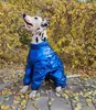 Ropa para perros Ropa grande Invierno Chaqueta de abajo Grueso Cálido Diseñador Labrador Doberman Abrigos Accesorios