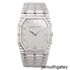 AP Wrist Watch Automatic Watch Top Wristwatch 18k Platinum Manual Mechanical Classic Fashion Mens Watch Womens Luxury Watch Clock Swiss Watch Famous Watch