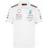 2024 Формула F1 Racing Sets Mercedeser Amg Petronas Fernando Alonso Set футболка повседневная дышащая в воздухопроницаемость Polo Summer Car Motorspor