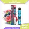 vaper puff 5000 Disposable E Cigarettes disposable vapes Mesh Coil Electronic Cigs Puff 5K Vape Pen Kit