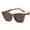 Zonnebril Vintage Vierkante Sungalsses Vrouwen Merk Designer Retro Cat Eye Zonnebril Vrouwelijke Mode Shades Spiegel Lentes De Sol Mujer