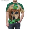 T-shirts hommes Nouveau T-shirt décontracté pour hommes Haut de vacances irlandais St Patrick 3D Imprimer Street Fashion Gothic Loose Harajuku Pull Col rond Court Q240220