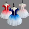 Stage Wear 2024 Professionnel Ballet Tutu Concours Adultes Enfant Robe à fleurs pour filles Enfants Leotard Ballerine