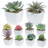 Decorative Flowers 10 Pcs Succulent Artificial Plants Office Decor Garden Landscaping Ornament Potted