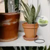 Vases Crackers Vase mural suspendu planteur de verre hydroponique Terrarium plantes support pendentif