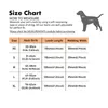 Collari per cani Collare personalizzato Durevole regolabile Targhette per nomi di animali con incisione personalizzata gratuita Accessori super morbidi