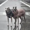 Vestuário para cães médio e grande roupas impermeáveis ​​à prova de vento jaqueta quente Doberman Whitbit Greyhound casacos traje