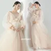 Dresses Women Photography Props Champange Mesh Vneck Floral Elegant Maternity Dresses Perspective Pregnancy Dress for Studio Shooting